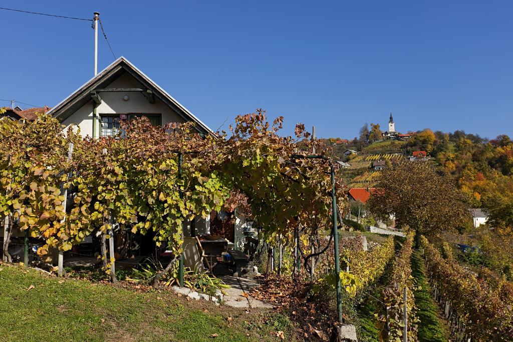 Vineyard Cottage Vercek โนโวเมสโต ภายนอก รูปภาพ